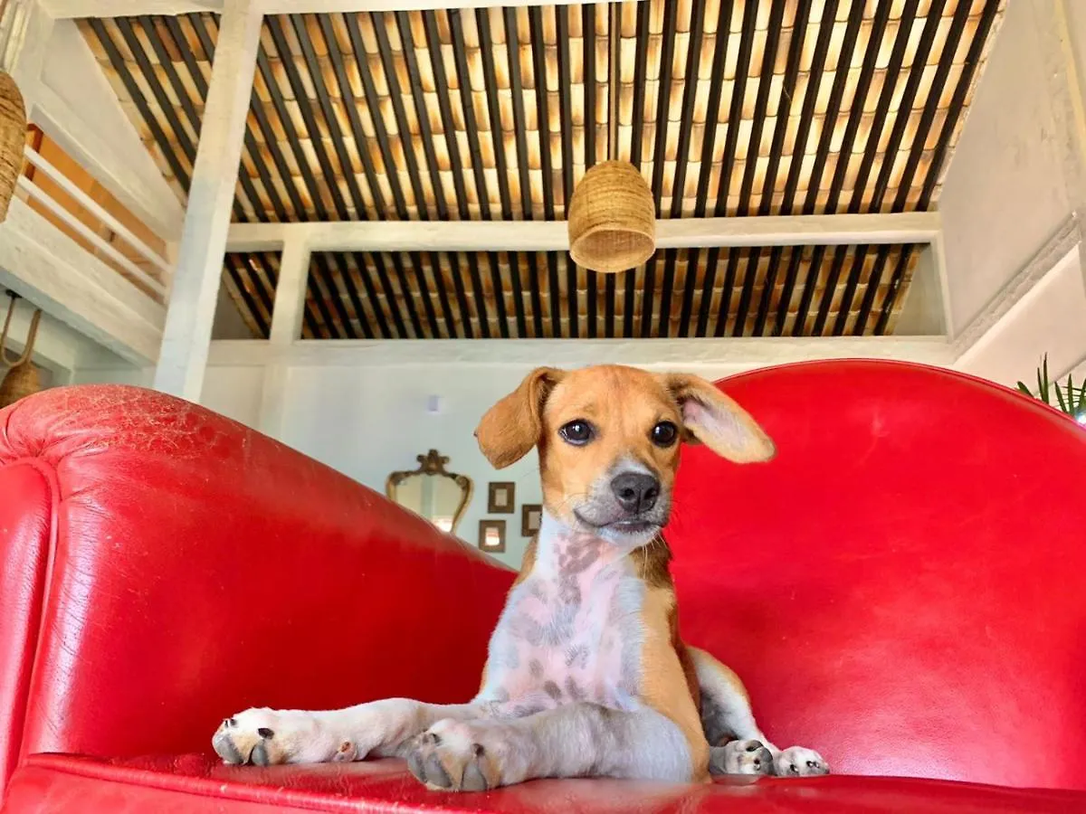 Inn Pousada Manaaki Búzios Brasil